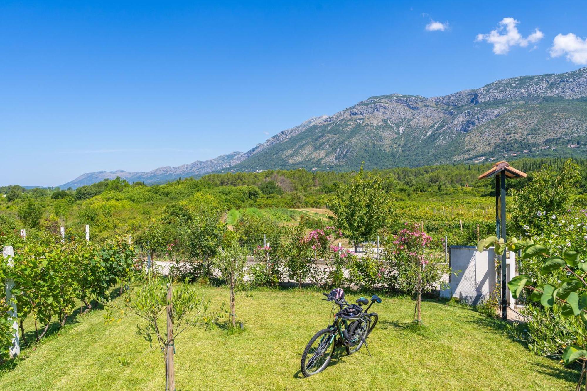 Počitniška hiša House Terra Madre Gruda